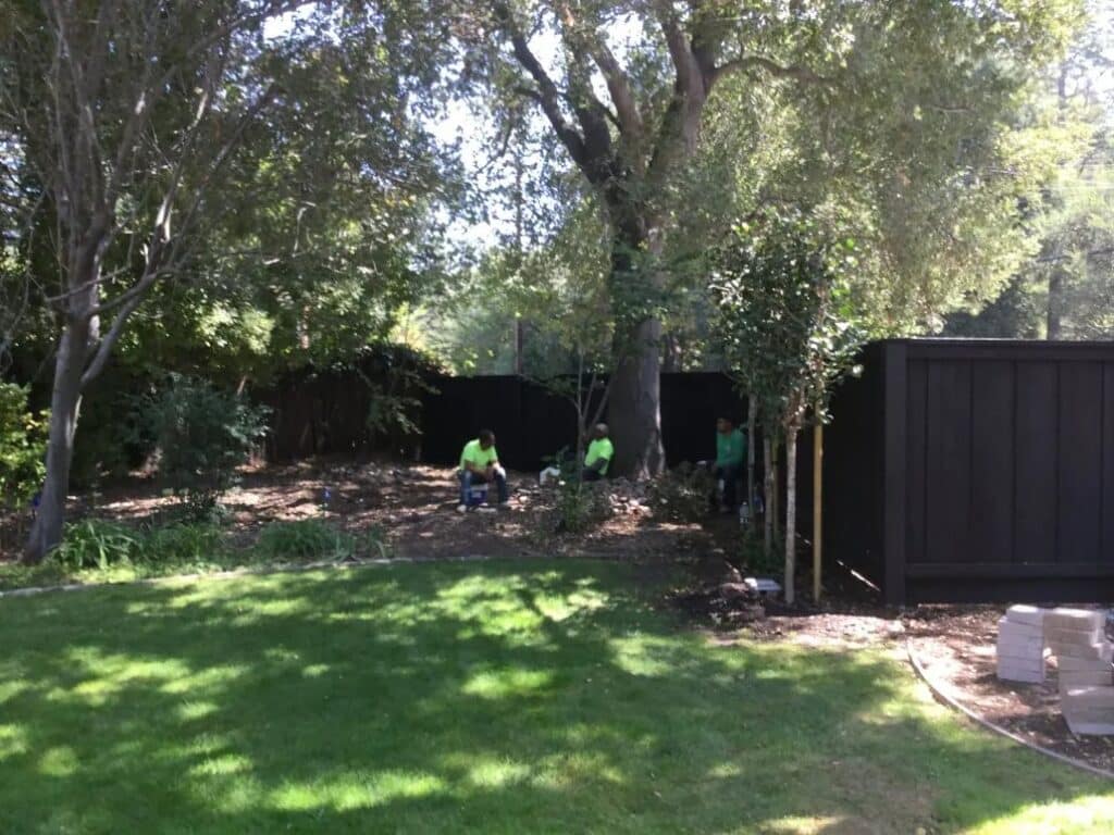 Landscape renovation underway in Atherton, CA, featuring tree preservation and sustainable planting strategies to enhance backyard aesthetics and functionality.