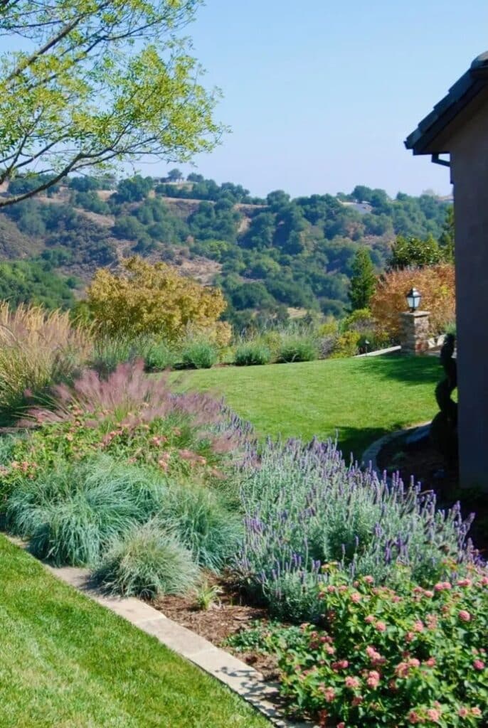 Serene landscape design featuring lush greenery, drought-tolerant plants, and vibrant flower beds in Los Gatos, CA.