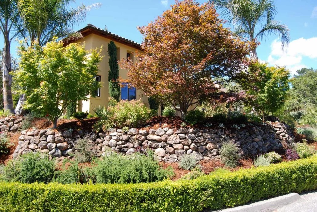 Bay Area hillside landscape design with natural stone retaining walls, drought-tolerant plants, and vibrant trees enhancing curb appeal.