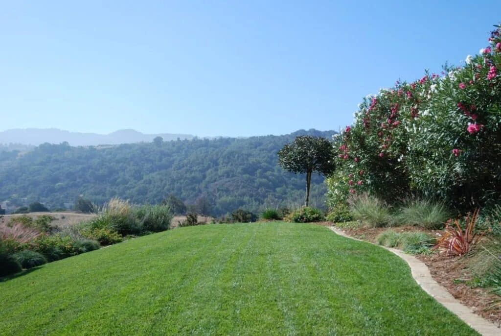 Expansive green lawn in the heart of Monte Sereno with breathtaking mountain views, ideal for family gatherings and serene outdoor living.