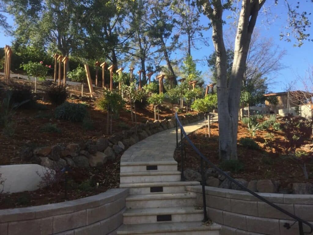 Elegant stone staircase leading through a hillside vineyard in Los Altos Hills, designed with retaining walls and meticulous landscaping.