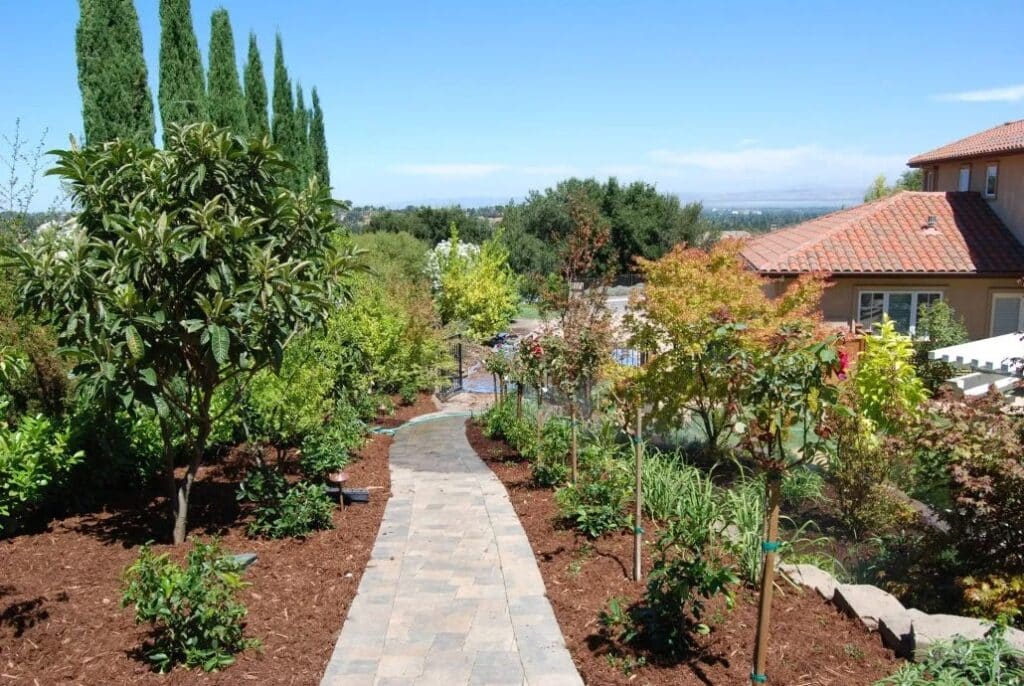 Charming backyard pathway with modern stepping stones and natural edging in Los Altos Hills, CA, perfect for connecting outdoor spaces with a contemporary touch.